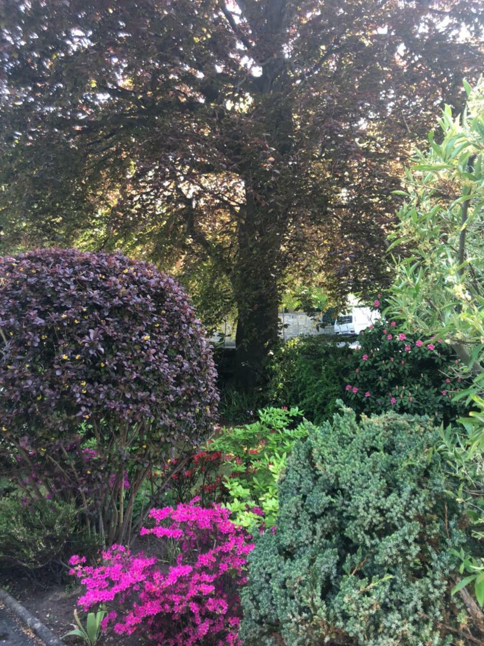Claremont House Bed and Breakfast Edinburgh Buitenkant foto